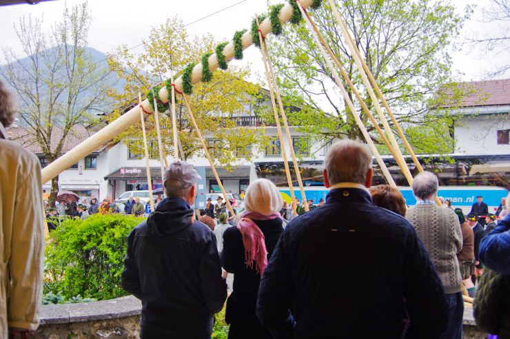 maibaum rottach egern 2016-12