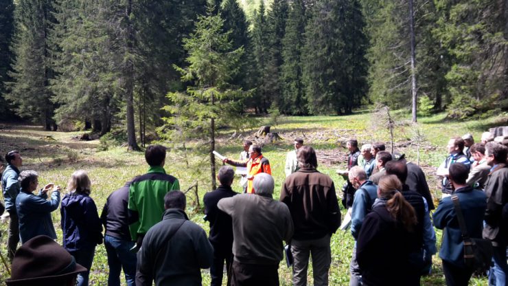 Eine Gruppe aus Bürgermeistern, Naturschützern, Jägern, Almbauern und Förstern ließ sich das regionale Naturschutzkonzept  erläutern.