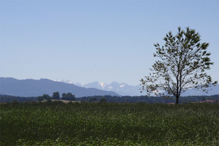 Der Schnee im fernen Süden hält sich noch wacker, doch in Holzkirchen schmilzt alles, was nicht von Schatten zu Schatten springt.