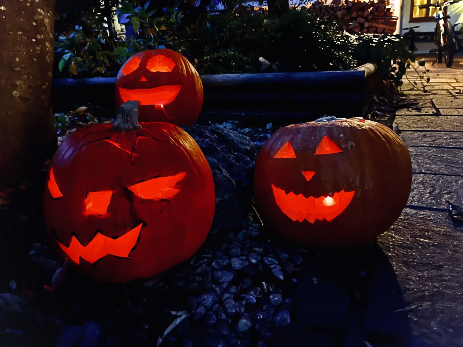 Müssen wir Halloween dieses Jahr ohne Kürbisse feiern? - Tegernseerstimme