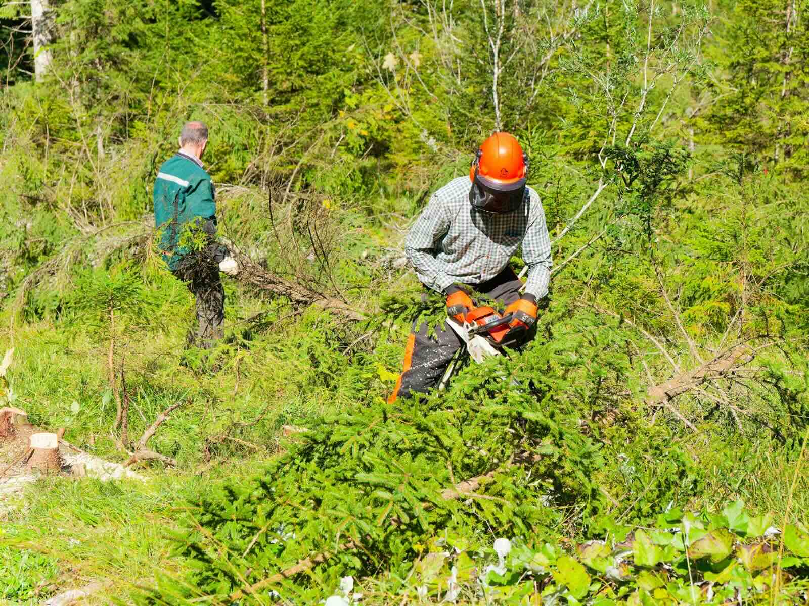 DAV Sektion München & Oberland Umweltbaustelle an der Hofbauernweißach