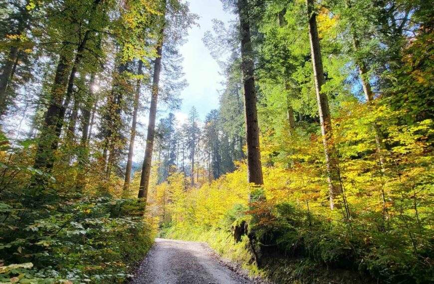 Das Wetter im Tegernseer Tal Föhn und Nebel