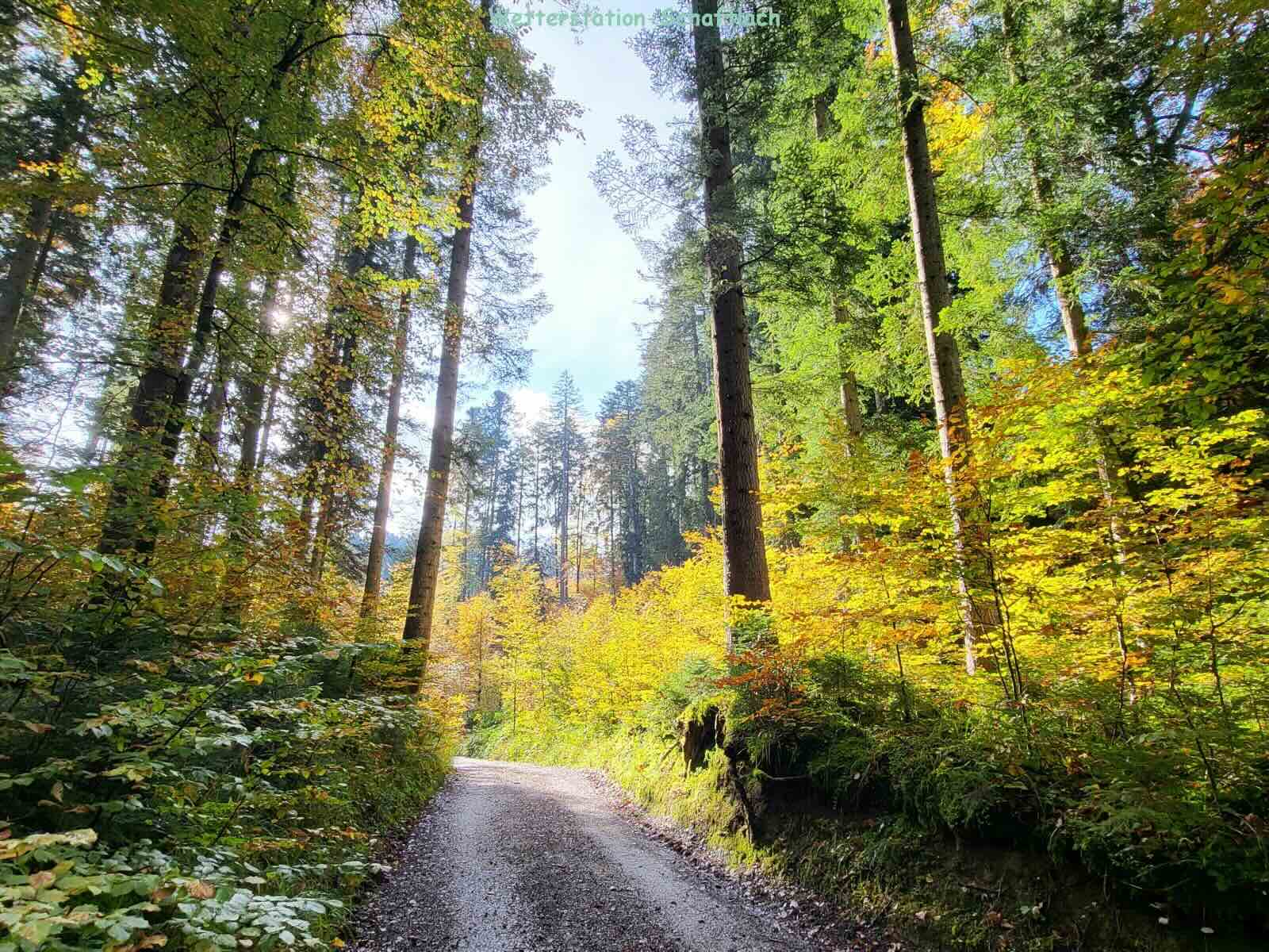 Das Wetter im Tegernseer Tal Föhn und Nebel